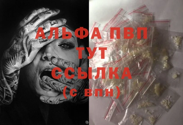 твердый Магас